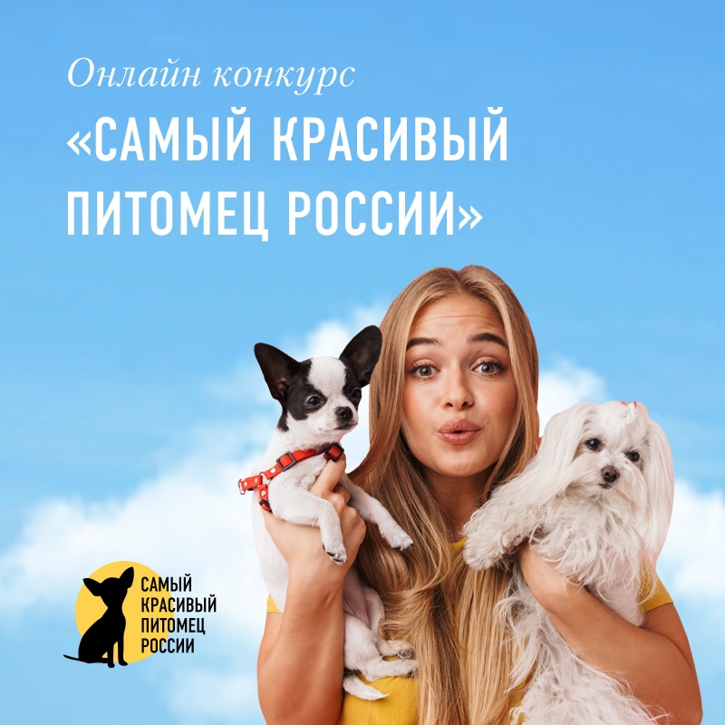 Самый красивый питомец России